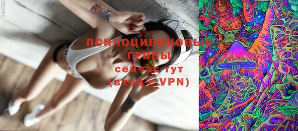 трава Абинск
