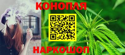 сатива Нарткала