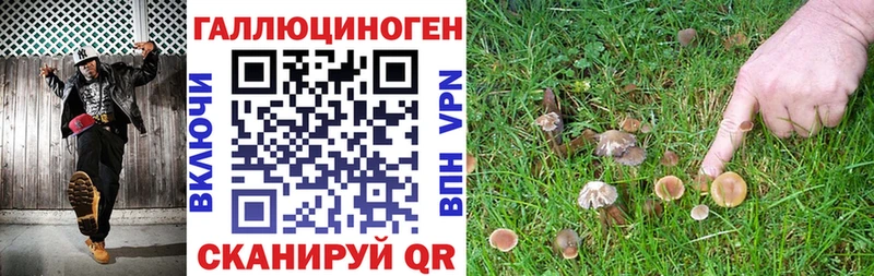 Галлюциногенные грибы прущие грибы  Красноперекопск 