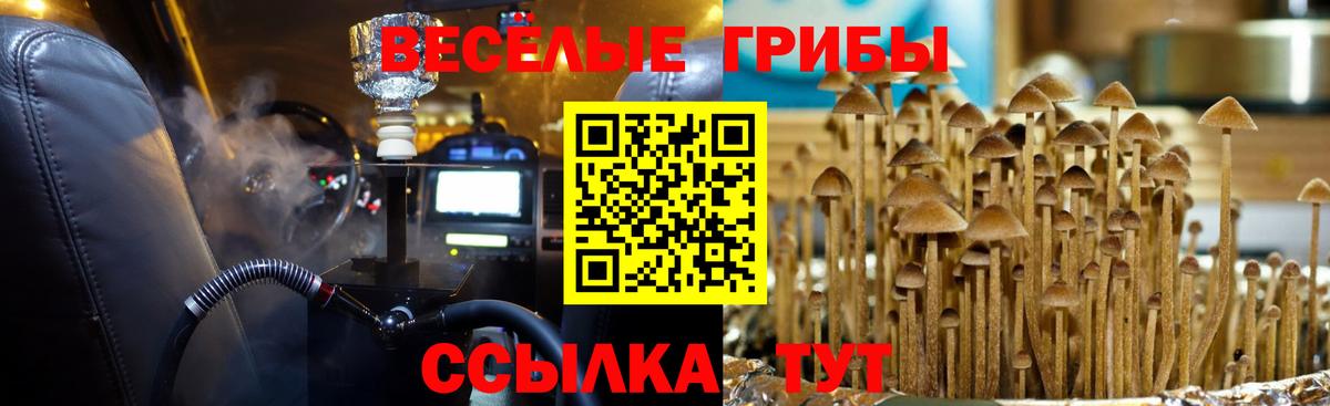 Галлюциногенные грибы MAGIC MUSHROOMS Красноперекопск