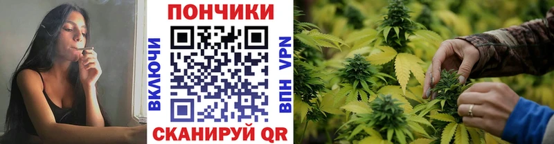 Бошки Шишки Amnesia  Красноперекопск 